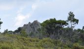 Trail On foot Unknown - Elia - Agios Pavlos - Petros hill - Elia - Photo 8