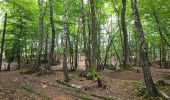 Percorso Marcia Verviers - A la découverte de Stembert 🥾 - Photo 2