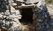 Trail Walking Caromb - Lac de Paty - Photo 4