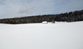 Trail Snowshoes Haut Valromey - la chapelle la CIA merlogne - Photo 3