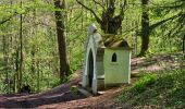 Trail Walking Thuin - Balade dans le Bois du Grand Bon Dieu-Thuin - Photo 18