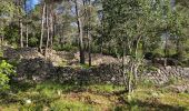 Tour Wandern Ollioules - Châteauvallon - Ollioules - Photo 2