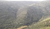 Tour Mountainbike Minerve - minerve - Photo 2