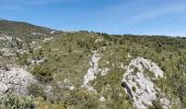 Tour Wandern Cuges-les-Pins - Cuges les Pins - Jas de Sylvain  - Photo 2