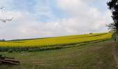 Trail On foot Anhée - Panorama de la Cour - Photo 5