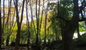 Tour Wandern Baztan - Infernuko errota - le moulin de l'enfer 2024/02/20. - Photo 10