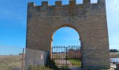 Tocht Stappen Villeneuve-lès-Maguelone - cathédrale de Maguelone  - Photo 3