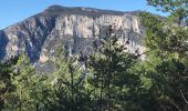 Tour Wandern Trigance - Trigance Verdon Rougon - Photo 2