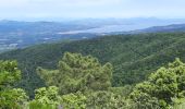 Excursión Senderismo Cogolin - les hauts de Cavalaire - Photo 6