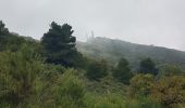 Tour Wandern Peille - Mont Agel Sytitrail + - Photo 1