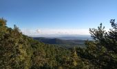 Randonnée Marche Aups - Tour de la montagne des Espiguières - Photo 1