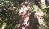 Trail Walking Largentière - 07 largentiere joannas taurier - Photo 16