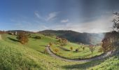 Percorso A piedi Weinheim - Rundwanderweg Röckelsberg 4: Röckelsberg-Weg - Photo 5