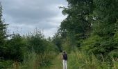 Tour Wandern Gesves - Sentier art corrige Altine - Photo 10