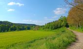 Tour Wandern Braives - entre Burdinale et Mehzigne via Fumal, Marneffe et Huccorgne - Photo 4