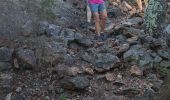 Tocht Stappen Bagnols-en-Forêt - Le pic de la Gardiette par Jacky - Photo 1