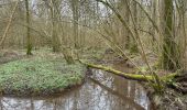 Tocht Stappen Scherpenheuvel-Zichem - Averbode Hertberg 17,1 km - Photo 6