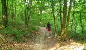 Trail Walking Gerpinnes - Balade dans le bois de Loverval - Photo 13