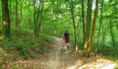 Tocht Stappen Gerpinnes - Balade dans le bois de Loverval - Photo 13