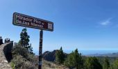 Randonnée Marche Tejeda - Pico de las Nieves (Gran Canaria) - Photo 18