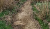 Trail Walking Grimaud - Grimaud - Sentier de la calade - Photo 9