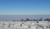 Trail Walking Waimes - botrange au dessus des nuages  - Photo 13