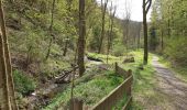 Tour Wandern Leienkaul - cascade - Photo 1