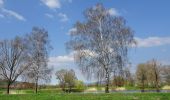 Tour Zu Fuß Alheim - Baumbach Rundweg Ba5 - Photo 1