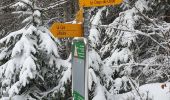 Randonnée Raquettes à neige Les Rousses - Noirmont 39 boucle - Photo 2