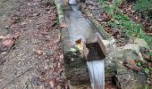 Trail Walking Mazamet - Mazamet : chemin de la passerelle  - Photo 10
