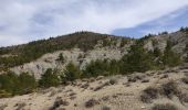 Excursión Senderismo Châteauneuf-Val-Saint-Donat - chabanns - Photo 6