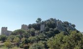 Trail Walking La Crau - château d Hyères-16-09-22  - Photo 9