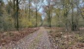 Randonnée Marche Gedinne - Bourseigne Vieille 20,6 km - Photo 13