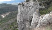 Randonnée Marche Cuers - Barre de Cuers - Photo 3