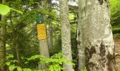 Trail Walking Romeyer - Col des Bachassons depuis Romeyer - Photo 10