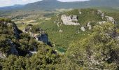 Trail Walking Laroque - Laroque - Avens, menhir - Rocher du Pin - Photo 14