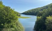 Trail Walking Urrotz - Leurtza  - Photo 4