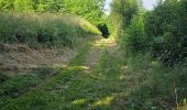Trail Walking Mazangé - Mazangé - Vauchalupeau - La Fosse Courtin - Photo 19