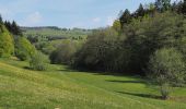 Percorso A piedi Sconosciuto - Rundwanderweg Parkplatz Goldsteintal: Birkenblatt - Photo 6