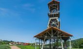 Trail On foot Decazeville - Le panoramique - Photo 4