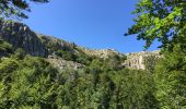 Trail Walking Bastelica - Val d’Ese - Photo 14