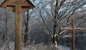 Randonnée Marche Spa - berinzenne entre forêt et fagne  - Photo 9