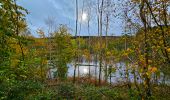 Tocht Stappen Gedinne - Balade à Willerzie - Gedinne - Photo 15