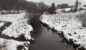 Tour Wandern Büllingen - Murringen - Weissen Stein - Murringen  - Photo 3