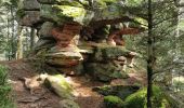 Tocht Stappen Ribeauvillé - boucle la grande verrerie-roche des 3 tables-roche des reptiles-roche des géants-la grande verrerie  - Photo 5