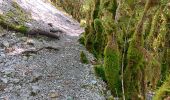 Excursión Senderismo Villard-Saint-Sauveur - cascade de flumen - saut du chien - retour en partie par la route  - Photo 17