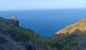 Trail Walking Banyuls-sur-Mer - cap del troc . coll de gran bau . cap réderis . retour par le chemin du littoral  - Photo 3