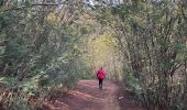 Tour  Tanneron - Tanneron - Photo 7