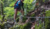 Trail Walking Saint-Laurent-du-Pont - Rocher de Pertuis  - Photo 10