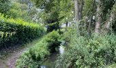 Tocht Stappen Florennes - Hanzinelle - Hanzinne - Fromée - Biesme - Wagnée - Photo 10